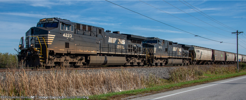 NS 4223